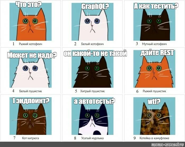 Решение тесты кот. Темперамент кошек. кошка холерик. тест с котиками. кот эмоции.