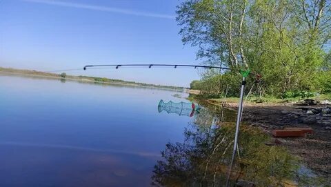 Рыбалка на реке волхов