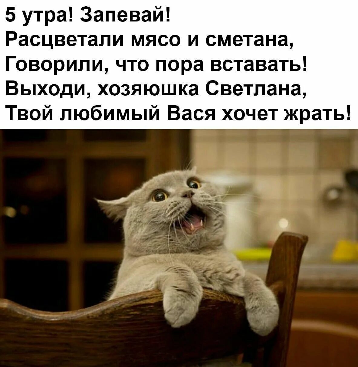 Тогда я встал и выйдя из дома