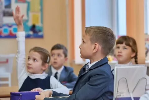 Школа предоставляет образование