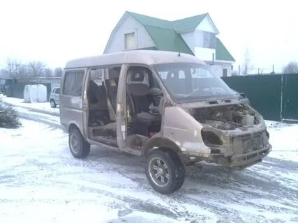 Соболь на руках