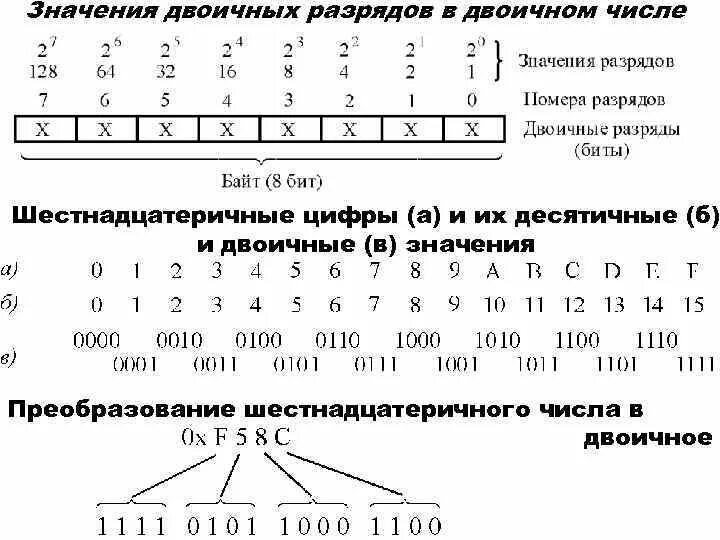 Сколько двоичных разрядов. Разряды двоичного числа. Количество разрядов двоичного числа. Разряды цифр в двоичной системе. Младший разряд двоичного числа.