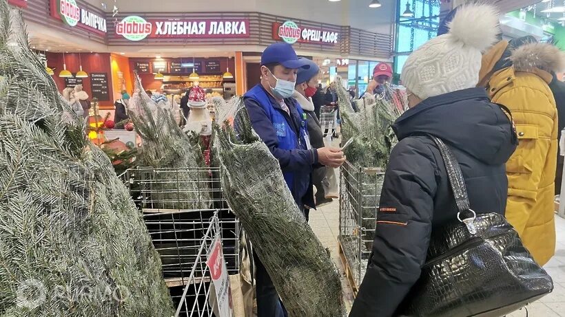 Елочный базар подольск