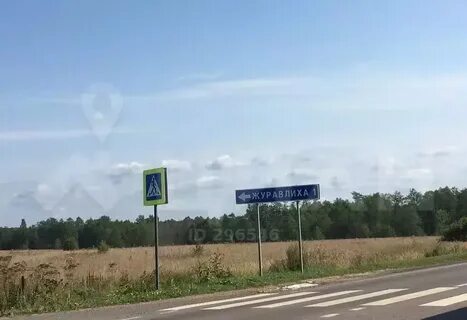 Шаховская паново
