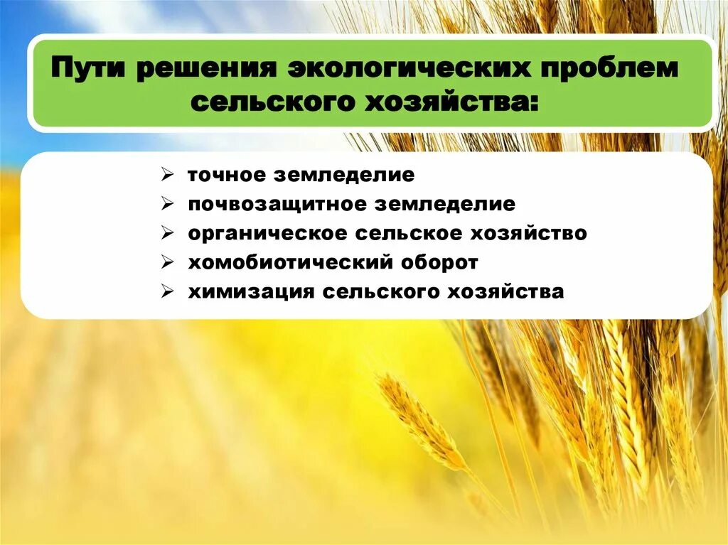 Составить сх. Пути решения экологических проблем сельского хозяйства. Способы решения экологических проблем в сельском хозяйстве. Пути решения растениеводства. Экологические проблемы растениеводства.