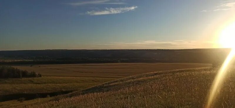 мастер классы рдш. александра зайцева петрозаводск. надежда лиморенко тюмень. фестиваль ночь в дивногорье. питомник собак в ульяновске хаски.