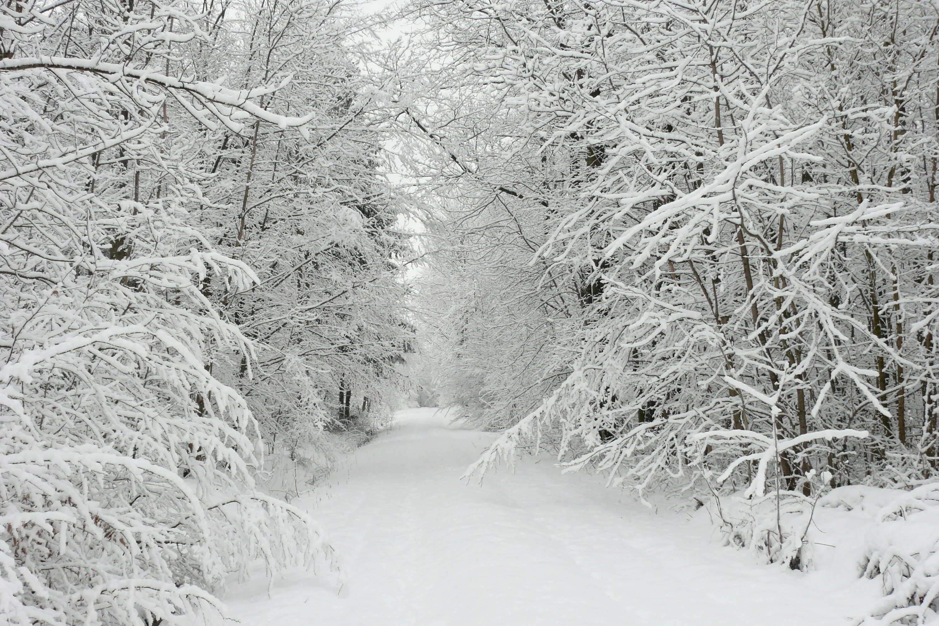 Snowy time
