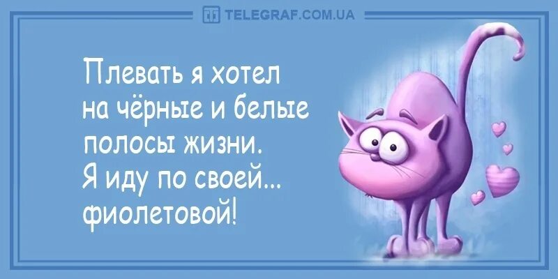 Есть в нашей жизни полоса и никуда. Я иду по своей фиолетовой. Цитаты про белую полосу в жизни. Плевать на черные белые полосы я иду по своей. Плевать я хотела на черные и белые полосы жизни я.