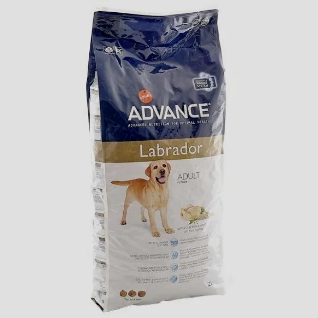 Корм для собак лабрадор. Advance Labrador Adult для щенков. Сухой корм для лабрадора. Сухой корм для собак с лабрадором. Корм для лабрадора щенка сухой.