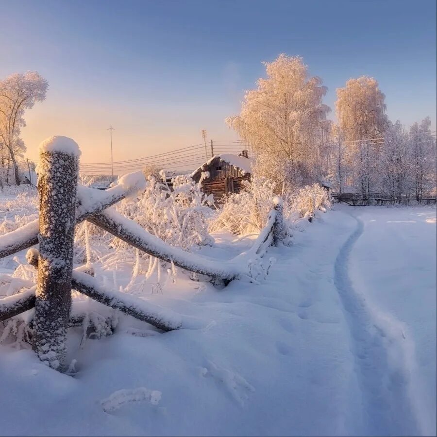 Морозное утро в деревне. Зима стужа. Зима вдохновение