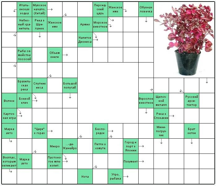 Комнатное растение 7 букв на д сканворд. Сканворды. Сканворды для печати. Кроссворды для взрослых. Кроссворд для взрослых с ответами.