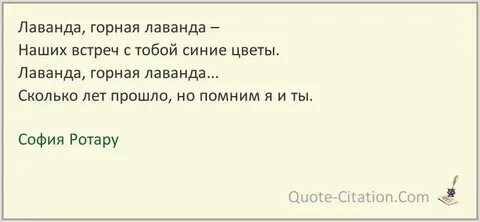 Лаванда меня уносит правда девочка цвета манго