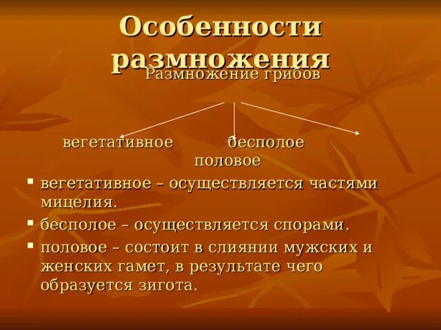 Гриб размножается бесполым. Грибы размножаются.