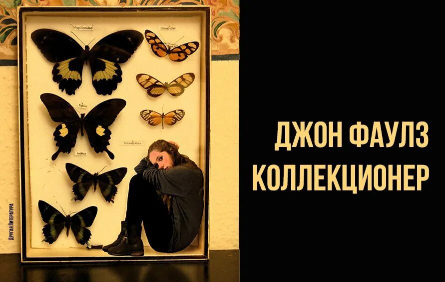 Липарк коллекционер. Коллекционер Джон Фаулз иллюстрации к книге. Коллекционер ( Фаулз Дж. ). Коллекционер Джон Фаулз арты. Коллекционер Джон Фаулз книга.