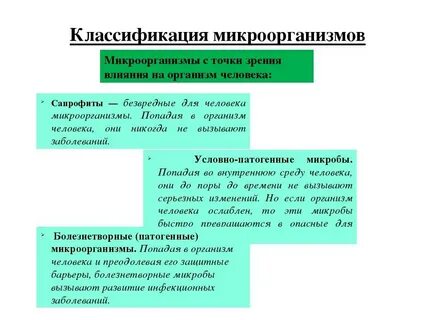 Классификация микроорганизмов