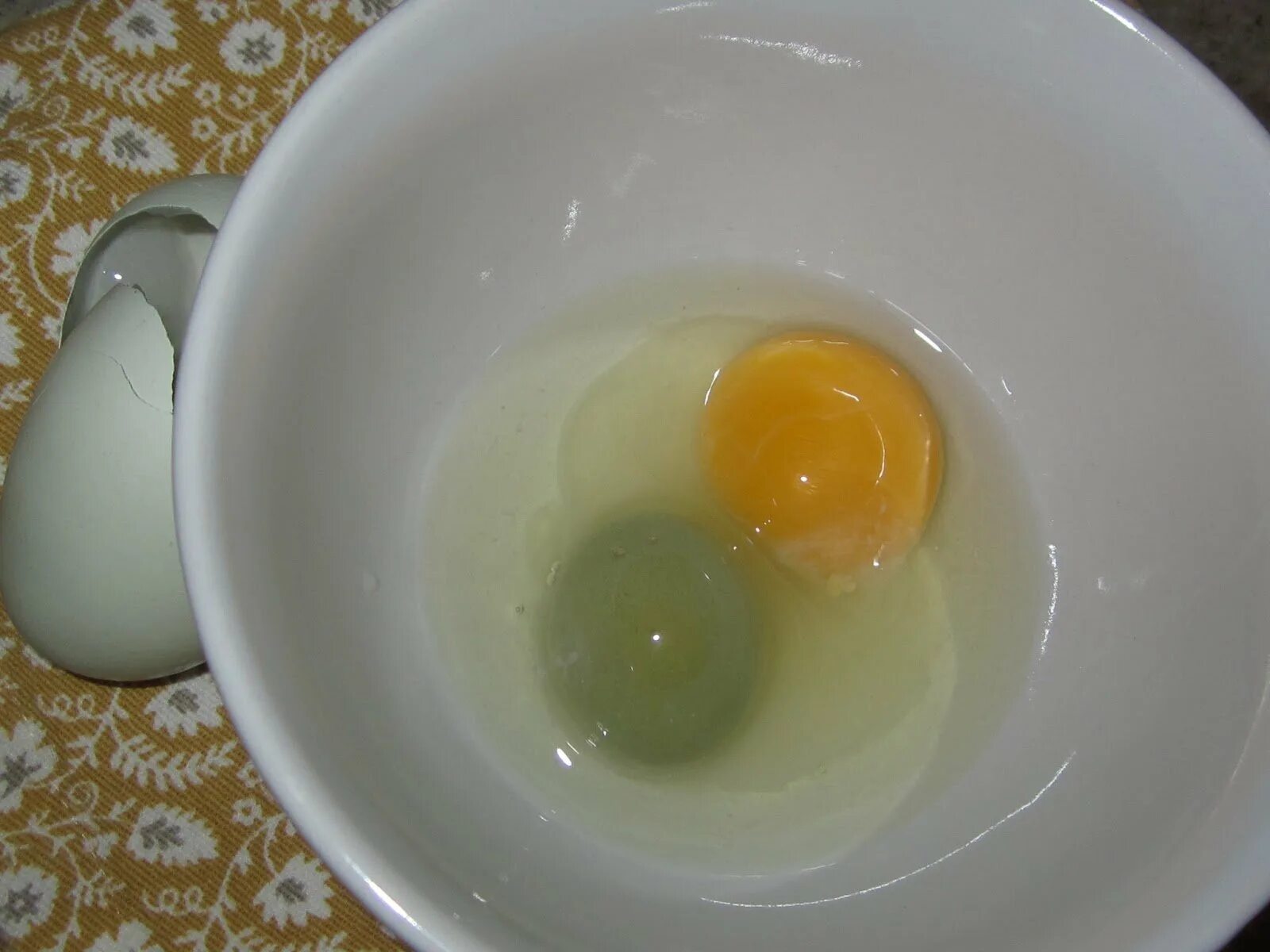 Зеленый желток. Цвет желтка яиц jeltiy. Яйцо в котором много желтков. Яйцо в котором много желтков чье. Алтайская желтка для мальчика.