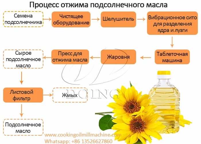Растительное масло получают с использованием бактерий