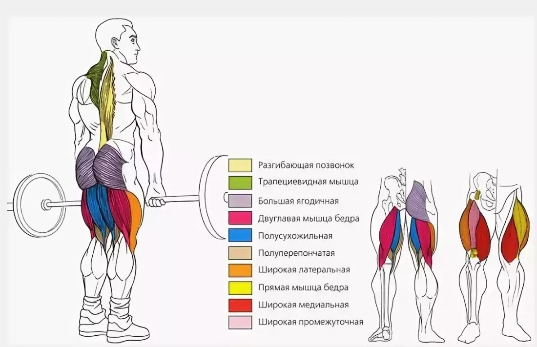 Тяга какие мышцы работают. Румынская тяга мышцы задействованы. Мышцы задействованные при румынской тяге. Мышцы задействованные при становой тяге. Становая тяга схема мышц.