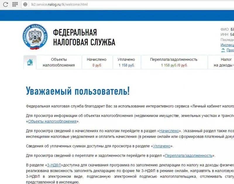 Налог ру отчет. Сервис налог ру. Сведения о налогоплательщике. Раздел информация налогоплательщика. Налог ру программа.