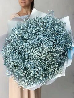 Сколько гипсофилы букет