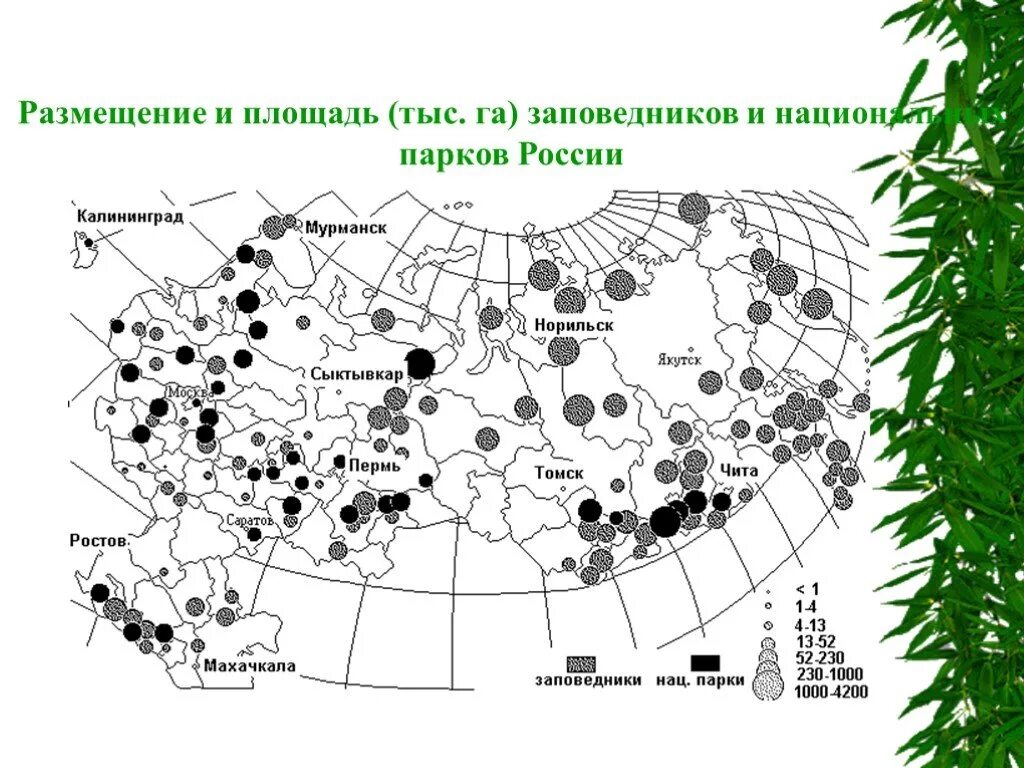 Крупнейшие заповедники россии на карте. Карта нац парков России. Заповедники и национальные парки России карта. Крупнейшие заповедники и нац парки России.