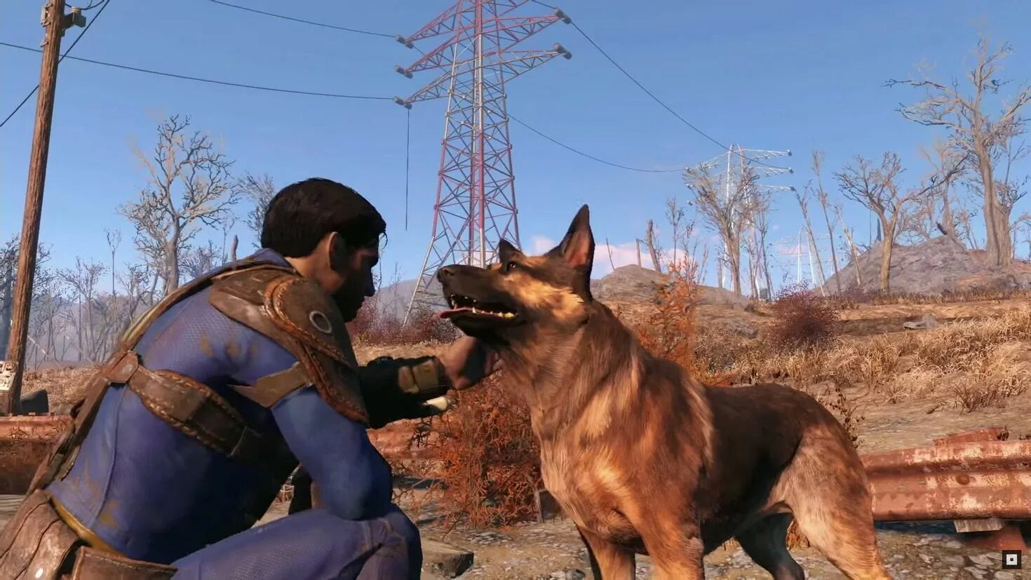 Фоллаут 4 лучшие. Догмит Fallout 4. Dogmeat Fallout. Dogmeat) из Fallout 4.. Fallout 4 овчарка.
