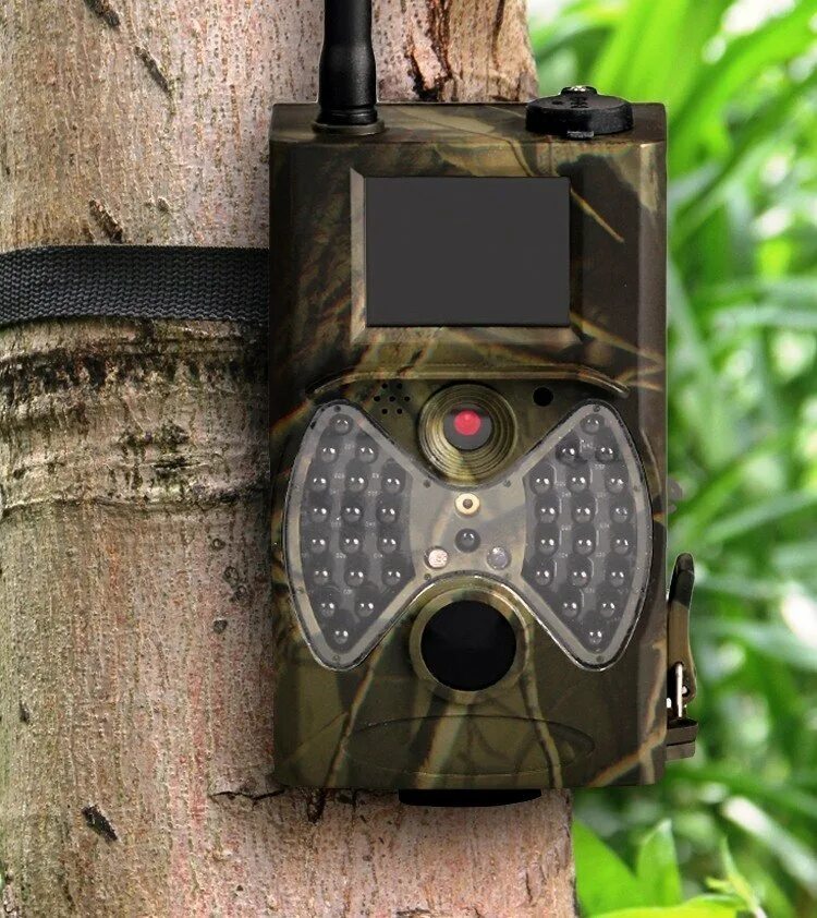 1 фотоловушка. Фотоловушка gsm-mms камера. фотоловушка hunting trail. фотоловушка филин 300. фотоловушка кипгард 569.