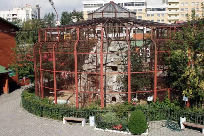 павильон с птицами в зоопарке. минск достопримечательности зоопарк. московский зоопарк птицы. павильоны зоопарка. московский зоопарк – улица большая грузинская.