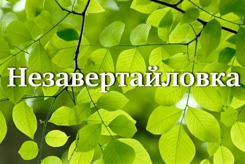 Фон из зеленых листьев