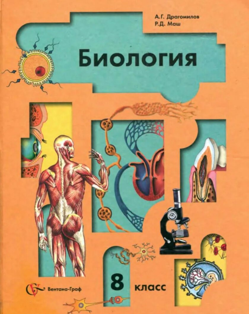 Биология. Человек. 8 класс. Учебник - купить в интернет-магазине по низкой цене 