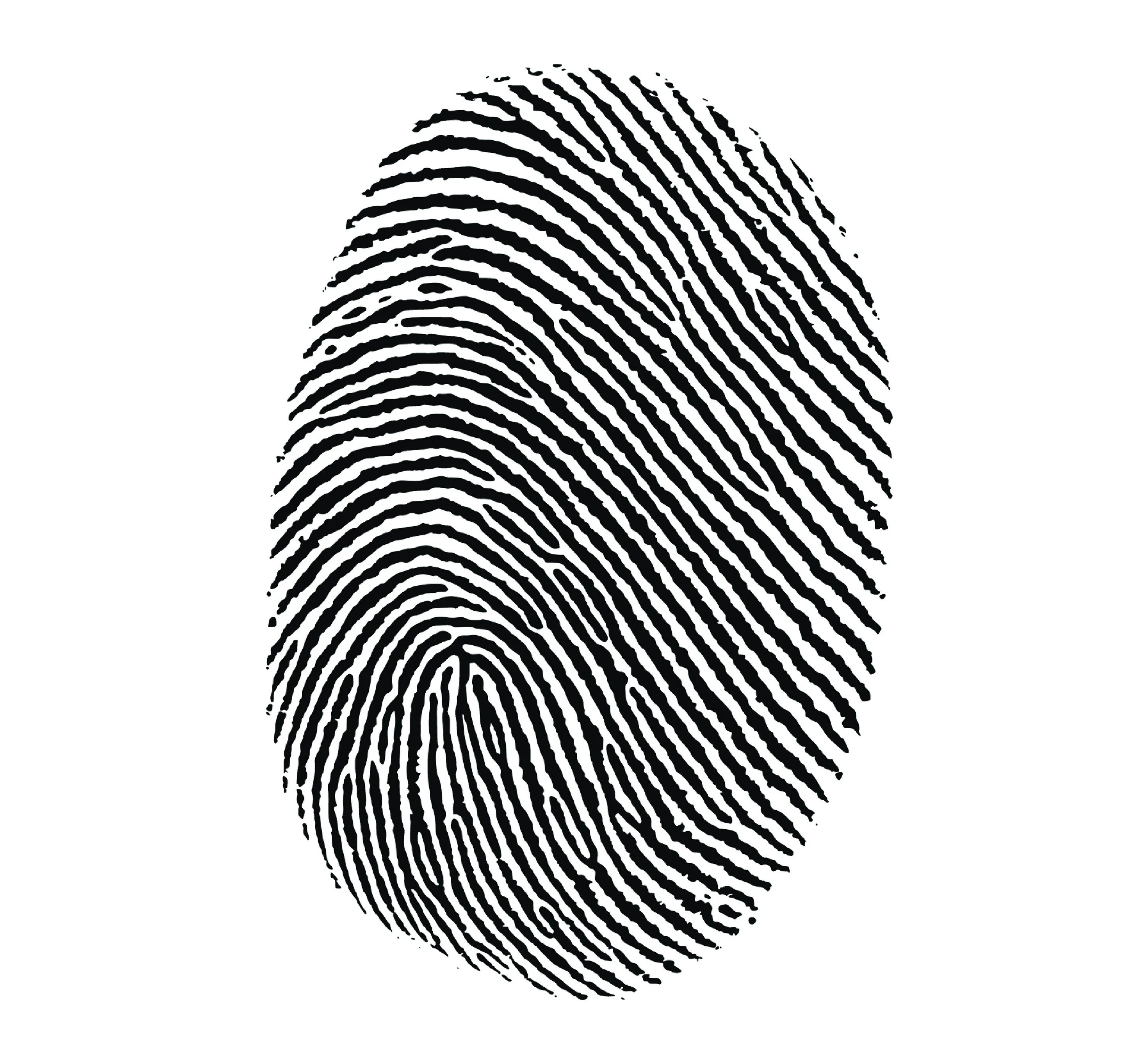 Sectionname ru настройки отпечатков профилей en fingerprints. Отпечатки пальцев. Дактилоскопия. Дактилоскопия карикатура. Дактилоскопия пришельцы.