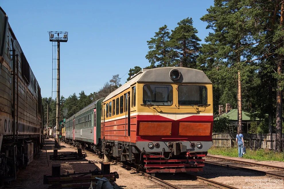 База железных дорог. База запаса Лебяжье. Лебжебазазапасажелезнодорожнойтехники. База запаса РЖД В Лебяжьем. База железнодорожной техники Лебяжье.