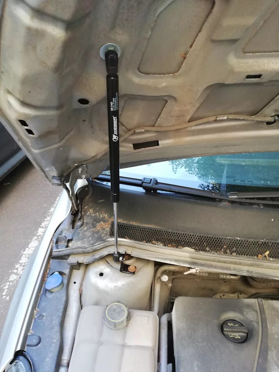 Упоры капота ford focus 2. Газовые упоры капота форд фокус. Упор капота форд фокус 1. Газовые упоры капота на ford focus 3. Газовые упоры капота форд фокус.
