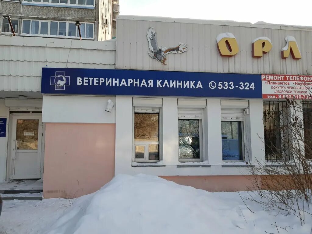 шевченко 160 барнаул ветеринария. , 20/1. ветклиника барнаул адреса. четыре лапы в барнауле. ветклиника 4 лапы железнодорожный.