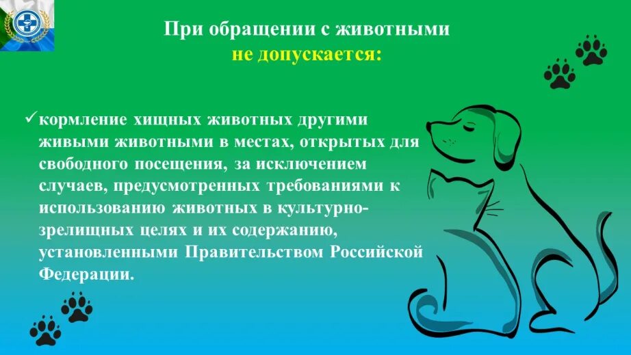 О защите животных от жестокого обращения. Закон о защите животных. жестокое обращение с животными. жестокое обращение с животными узбекистан.