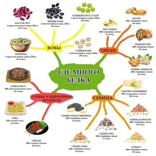 В каких продуктах есть много белка