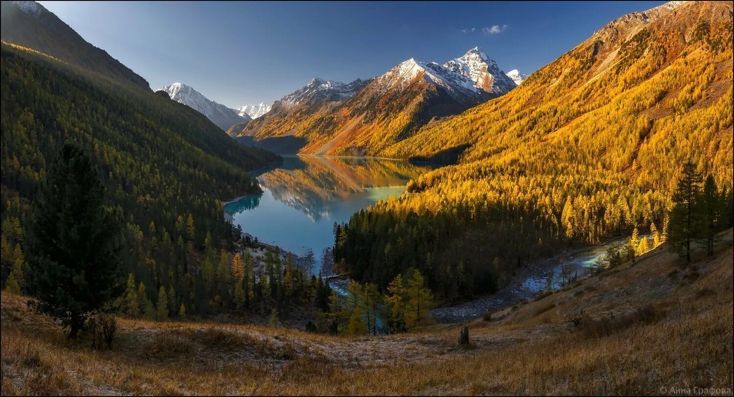 Горный Алтай золотые горы Алтая. Золотые горы Алтая ЮНЕСКО. Кучерлинские озёра, Алтай. Озеро Киделю горный Алтай. Алтай природное наследие