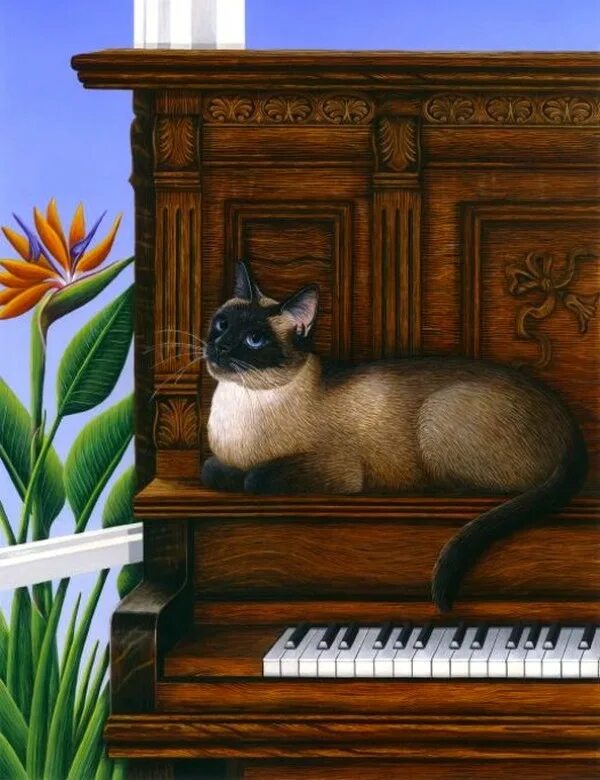 Музыкальный кот. Художник carol wilson коты. кошка на рояле. кот на пианино. кошка на пианино.