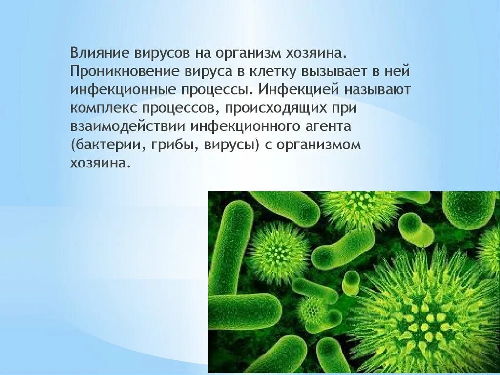 Бактерия. Бактерии в организме. Примитивные одноклеточные организмы. Одноклеточные бактерии.