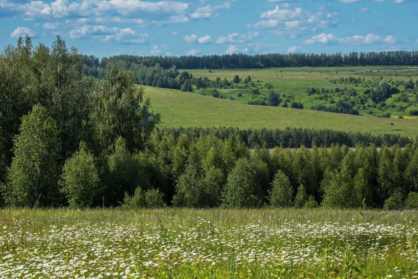 Родные просторы Татарстан. Зеленодольский район природа. Деревня Кургузи Зеленодольский район. Природа , Республика Татарстан (Татарстан). Картинка родная природа