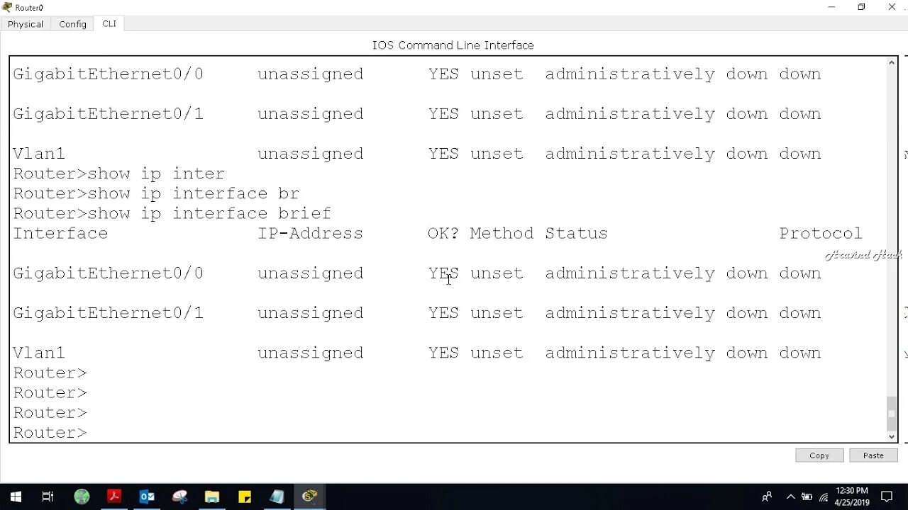 Show interface brief