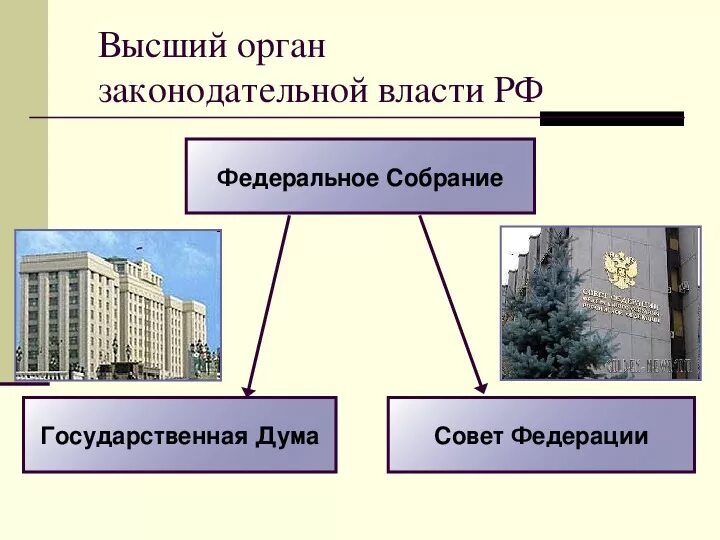 Высший законодательный орган российской федерации