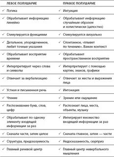 Какие функции выполняет правое полушарие