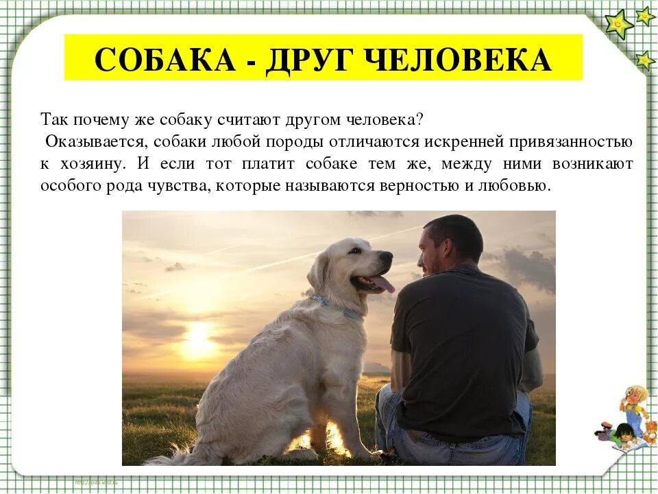 Собака друг человека сочтне. Собака друг человека сочинение. Почему собака друг человека. Человек собаке друг текст.