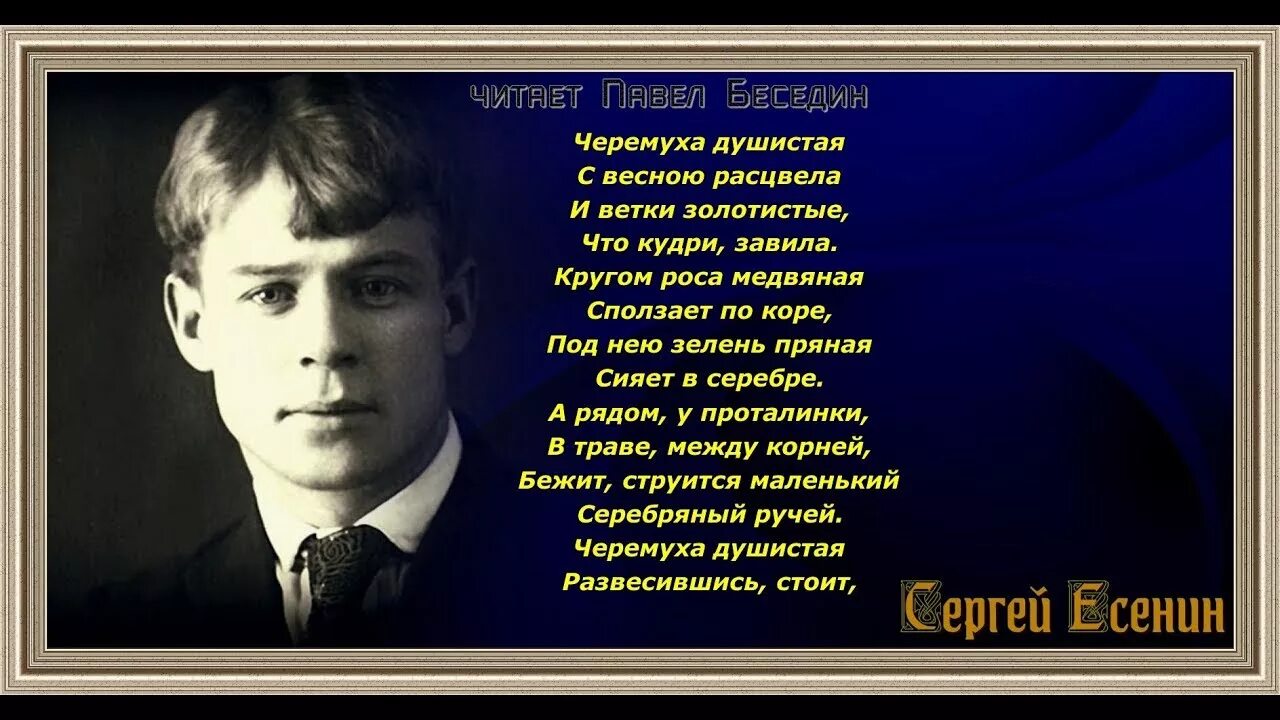 Стихи Есенина. Стихи Есенина с матом. Есенин стихотворение с матом. Есенин думаешь мы нет других