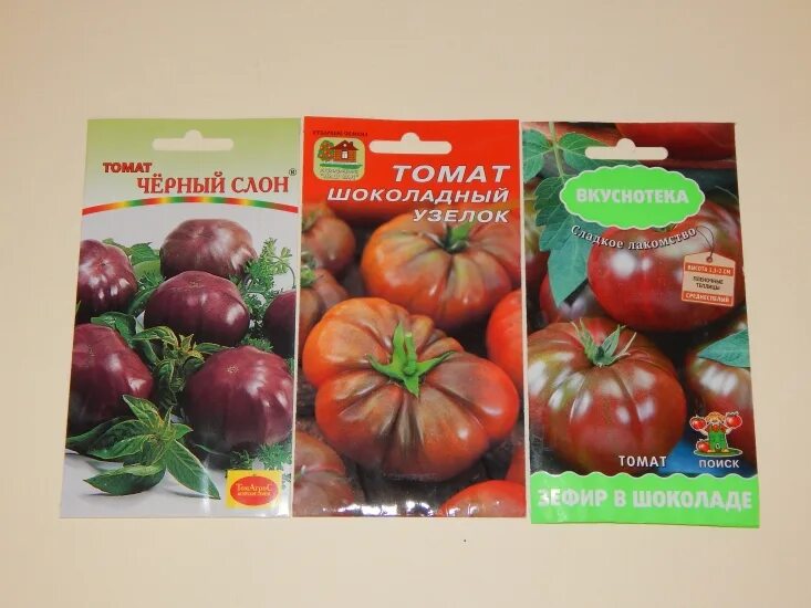 Томат сорта розовый слон отзывы. Томат розовый слон фото. Розовый слон томат рассада. Томат розовый слон евросемена. Сорт томатов малиновый слон.