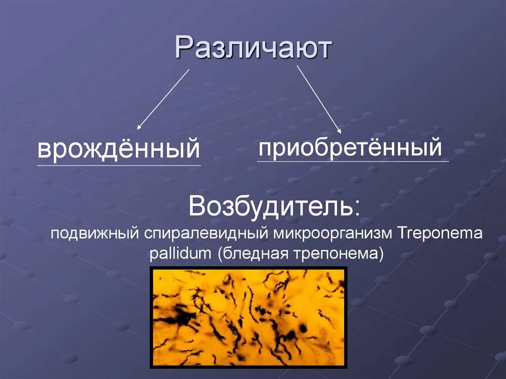 Врожденные заболевания передающиеся половым путем. Презентация на тему сифилис. Сифилис эпидемиология презентация. Презентация на тему болезни передающиеся половым путем. Трепонема эпидемиология.