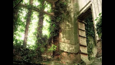 Overgrown