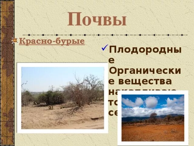 Красные ферраллитные почвы австралии. Красно-бурые почвы саванн. Красно-бурые почвы саванн. Тип почвы в саванне. Почвы саванны.