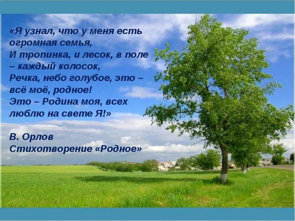 Какой изображает автор родную землю. Я узнал что у меня есть огромная семья и тропинка. Каждый колосок это Родина моя. Стихотворение речка небо голубое. Стихи о родине.